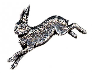 PINS Hare